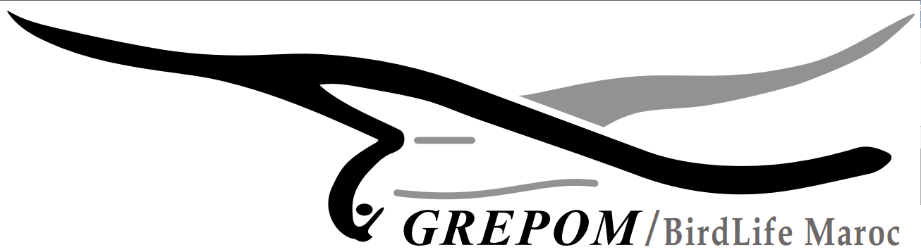 GREPOM / BirdLife Maroc
