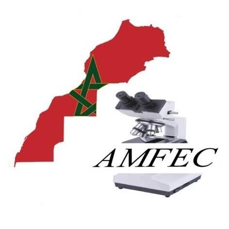 Association Marocaine des Femmes Enseignantes-Chercheuses (AMFEC)