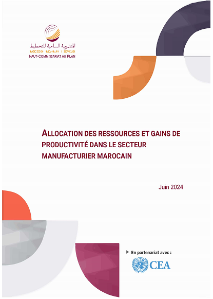 Allocation des ressources et gains de productivité dans le secteur manufacturier marocain