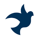 Pro Peace (Forum Ziviler Friedensdienst e.V.)