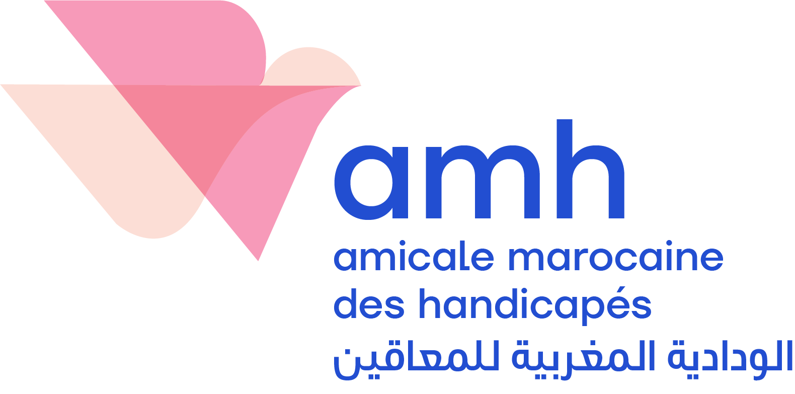 Amicale Marocaine des Handicapés