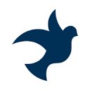 Pro Peace (Forum Ziviler Friedensdienst e.V.)