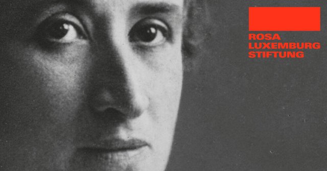Rosa-Luxemburg-Stiftung