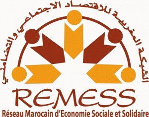 Renforcement institutionnel des acteurs de l'ESS pour un développement inclusif et endogène